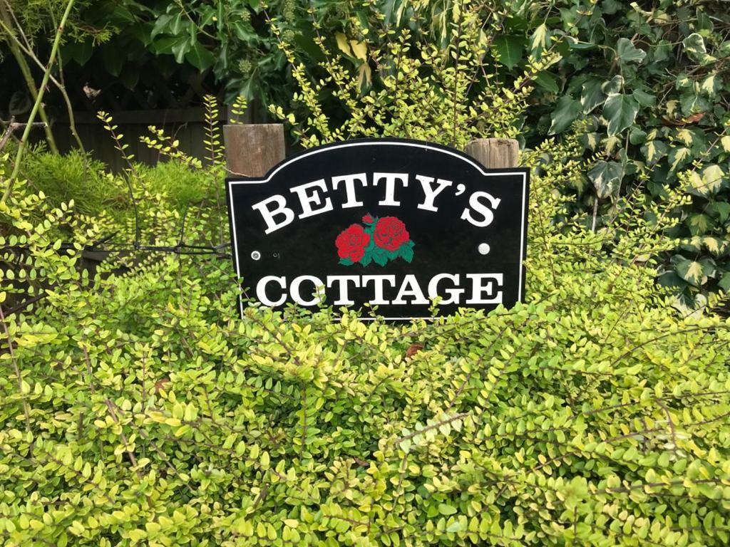 Betty'S Cottage - Traditional Norfolk Farm Cottage Swafield Kültér fotó